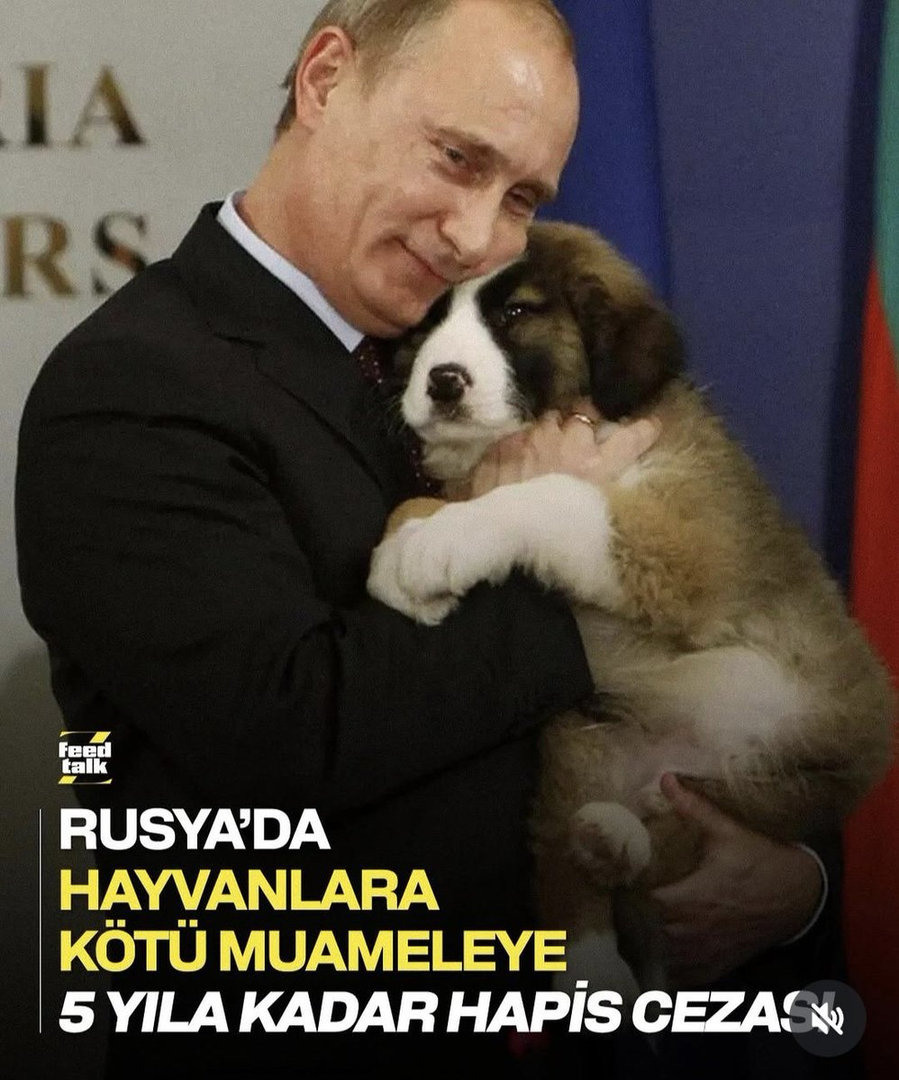 1akayaka's tweet photo. Helăl olsun sana #Putin 
Zaten hayvansever olduğunu biliyordum,yasal olarak da onları güvence altına almanızı takdir ediyor ve alkışlıyorum...👏😻👏🐶👏
#SokakHayvanlarıSahipsizDeğil 
#BirkapMamaBirKapSu https://t.co/hqNHVxnaB9
