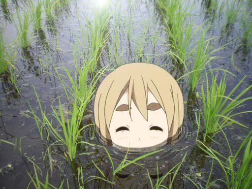 sunofpluto's tweet photo. @xbunnimimi Do you hiss at the word piss https://t.co/aeyUHziyau