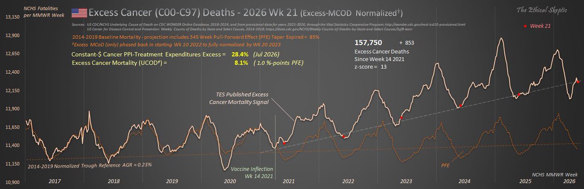 EthicalSkeptic's tweet photo. Cancer Continues its Elevation in Excess Mortality as of Week 21 2026.

= 8.1% and is corroborated by a 28.4% excess in PPI-Neoplasms Cancer Treatment Expenditures

The trajectory of this increase extrapolates back to the VERY WEEK of vaccine introduction. 

This is NOT FROM COVID.
