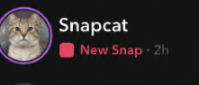 TheGreatDev22's tweet photo. I just bought snapchat+ and when you go to theme apply of the app, there is legit  profile picture of cat with name of Snapcat https://t.co/OySHQsw579