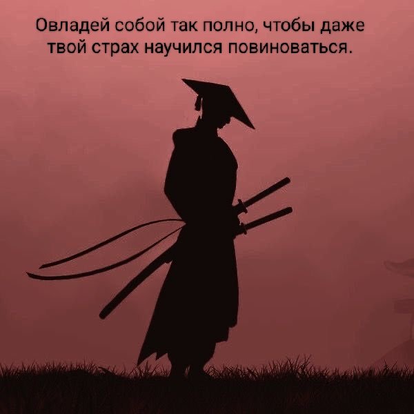 Barbarella6669's tweet photo. Ппц https://t.co/LzC9jesVaY