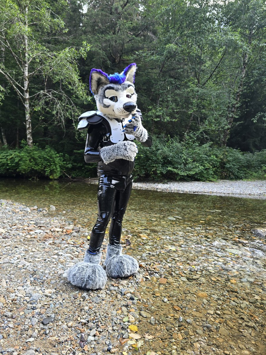 DirtypawsD's tweet photo. I need someone to tie me up make me a loopy subby puppy and use me while shoving musky things in my muzzle soooo badly lately https://t.co/5ZaWGNA48W