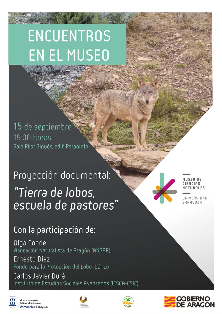 RevistaQuercus's tweet photo. Nuestro colaborador Jonathan Gil Muñoz, de @ElGuadarramista, nos recomienda "Tierra de lobos, escuela de pastores" https://t.co/JVHYCmVJa3 

🎬 Este documental se proyectará el 15 de septiembre en Zaragoza (ver cartel)
📸 Momento de la grabación del documental (foto: IESA-CSIC) https://t.co/86TGumo50Q
