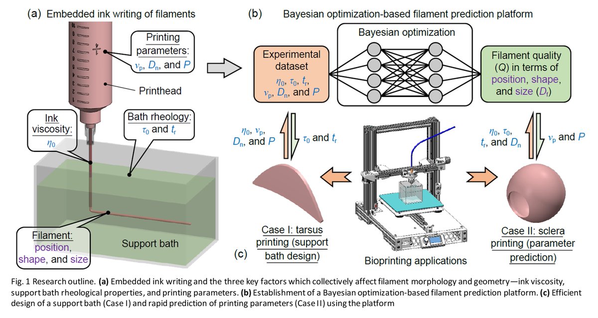 BioDesignManuf's tweet photo. Bayesian optimization-enabled efficient embedded ink writing of human tissue analogs

Learn more: https://t.co/t12XN3PM2P https://t.co/escvTsqpPh