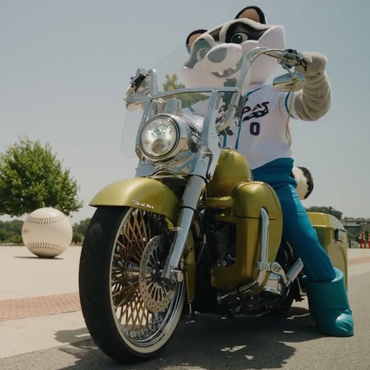 MiLB's tweet photo. WILDEST GIVEAWAY EVER?!

If a Rocket City Trash Pandas player hits for the cycle tonight, one lucky fan will leave with a Harley-Davidson motorcycle 🤯 https://t.co/ivbRH9NPQT