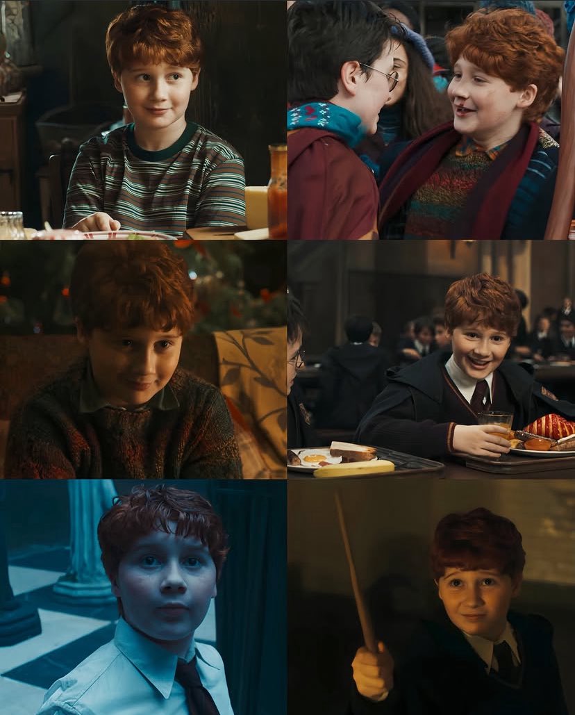 PotterHBOBrasil's tweet photo. WEASLEY É NOSSO REI!!👑🧡 https://t.co/8NDGsxqe15
