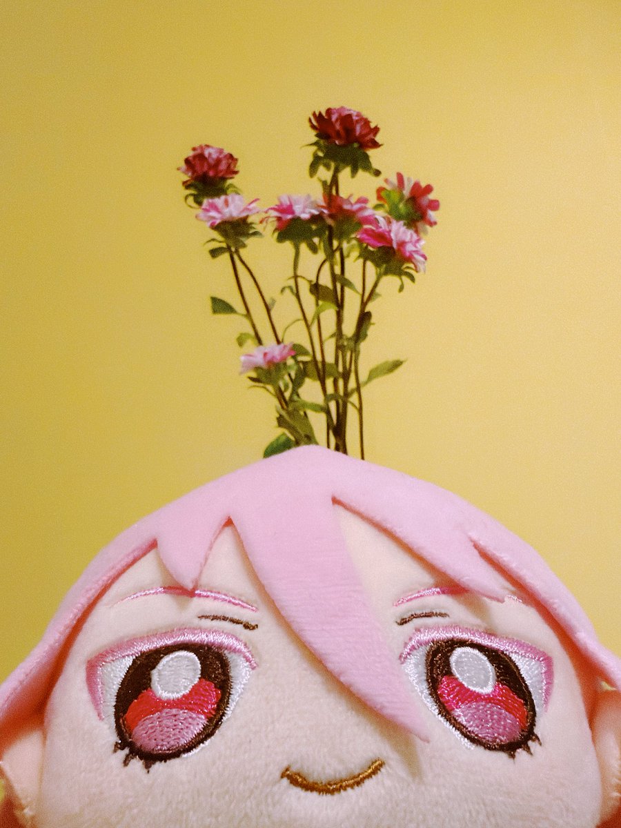 iegai_nui's tweet photo. https://t.co/fZOeSkUnZz