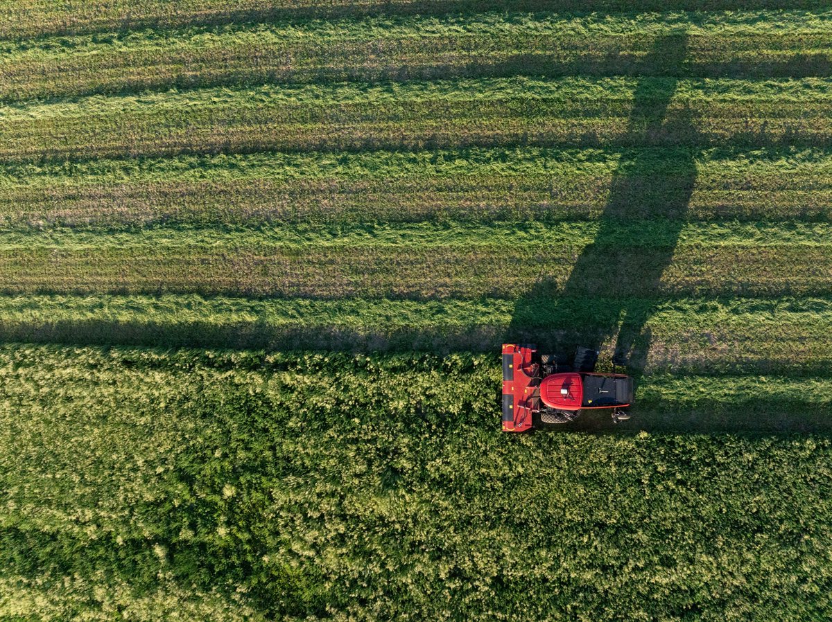 CNHIndustrial's tweet photo. Our brand @Case_IH is marking America's 250th at @FPShow 2026 in Boone, Iowa with a full week of new launches. New WD6 windrower with Relative Yield Mapping, Axial-Flow 160 series updates, Farmall compact A series tractors, and two special edition Magnum tractors on display.

Read the full press release: https://t.co/LEkuSyoIYo 

#CNH #FPS26