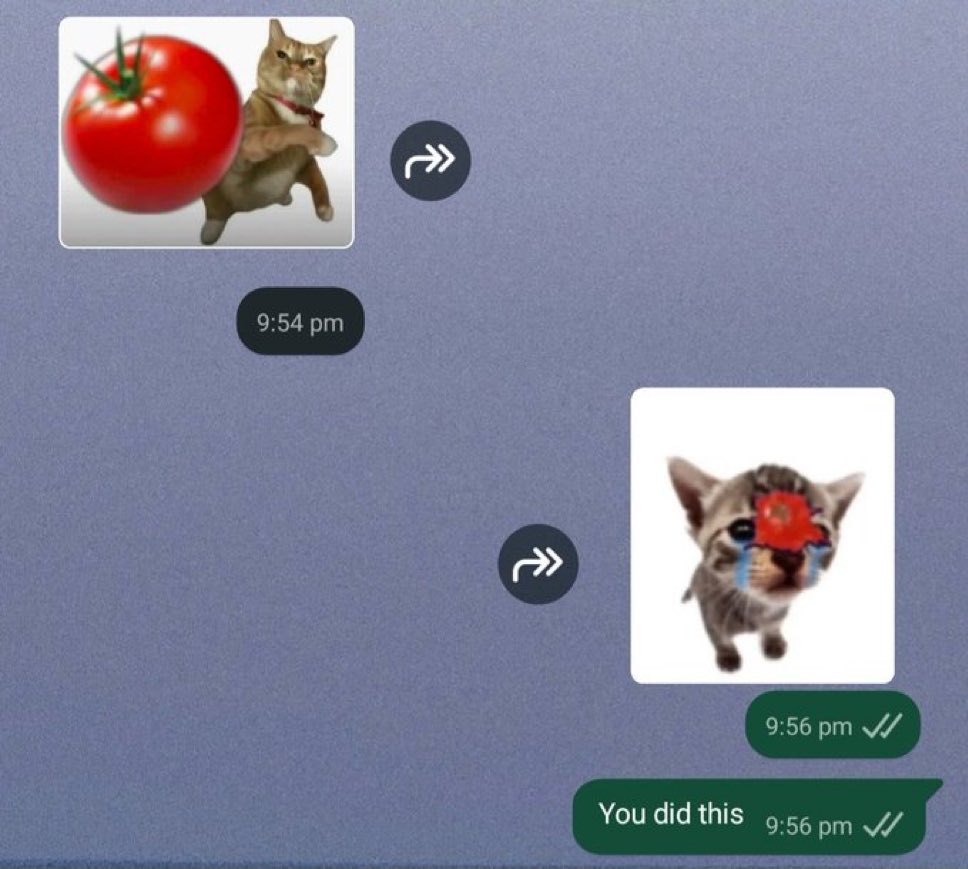 literallymecats's tweet photo. https://t.co/vKAo3L2ye3