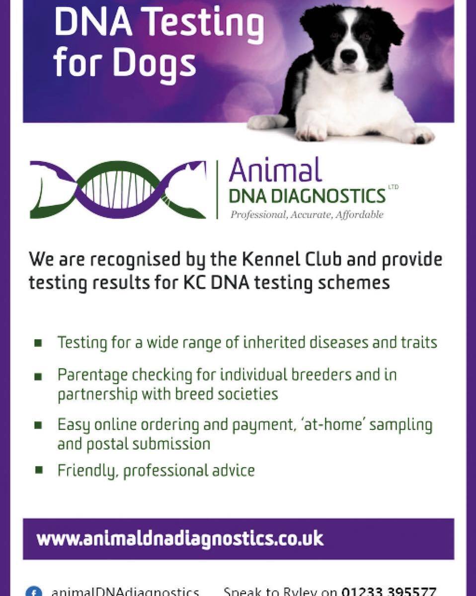 OURDOGSNEWS tweet picture