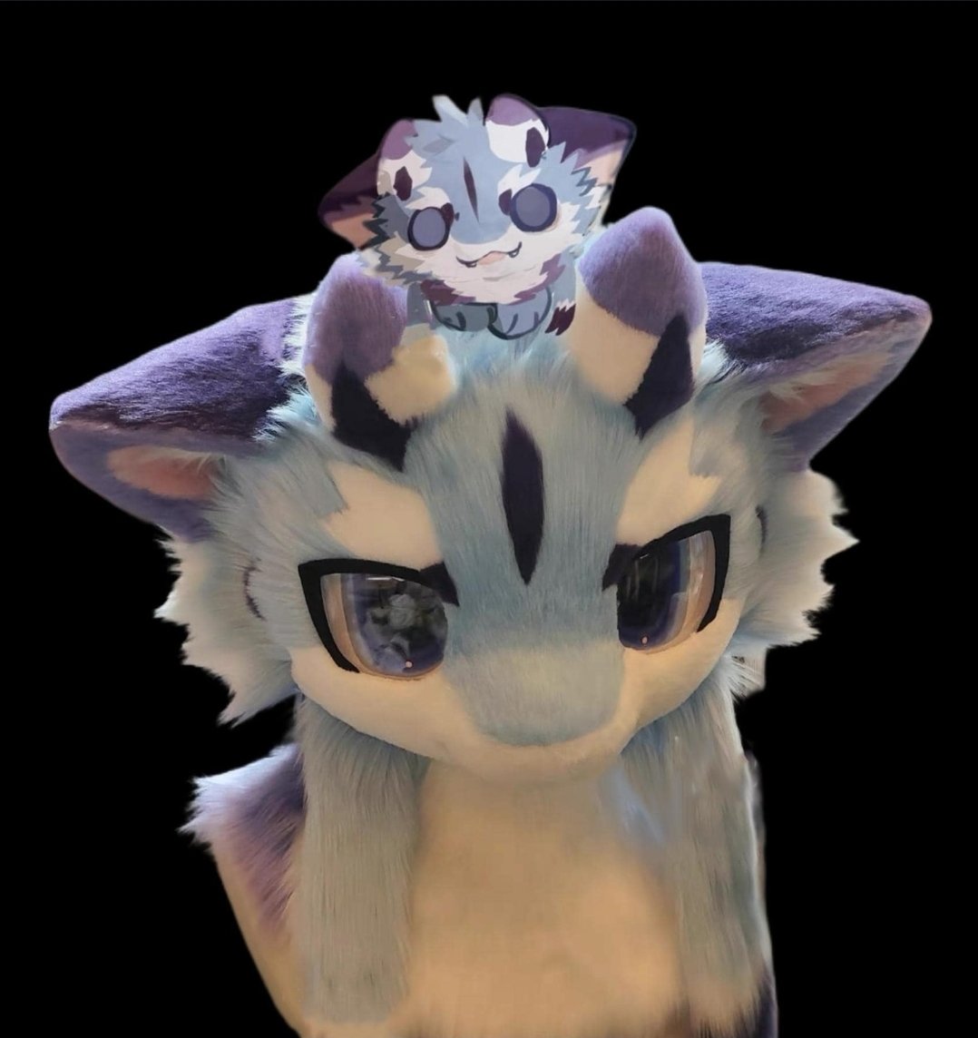 Waymo2256's tweet photo. Starting a crowd fund to get my dream premade fursuit, this is listed on Etsy and the shop is trusted. Any donations accepted!! 🙏🙏
#throne #furry #fursuit #crowdfund #plsdonate #donateplease #donate #furryfursuit #fullfursuit 

https://t.co/EyOSv1WrdZ https://t.co/EfRdKdNSfK