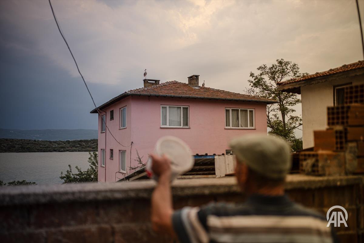 alpertuydes's tweet photo. Sabah 11’den beri tekrar yuvada görür müyüz diye bekledik Yaren ve Nazlı Leyleğimizi. Belki geceyi başka direklerde geçirirler mi diye de ümit ettik. Ancak az önce Adem Amca aradı. ‘Gittiler artık, kısmetse seneye’ dedi. Ayrı ayrı gelseler de giderken birlikte ayrılıyorlar yuvadan. Bu yıl ne güzel aynı kayıkta pozlar vermişlerdi. Ayrıca bu yıl köyün bütün leylekleri aynı gün gitmiş. Köy kahvesinde bu konuşulmuş. Hüzünlü bir eylüle giriş yapmış olduk böylece. 

Şimdi serinleyen sonbahar havasında güneye doğru kanat çırpacaklar günlerce. Geceleri uzaktan şehir ışıklarını izleyerek dallarda çatılarda uyuyup gündüzleri uçmaya devam edecekler. Şehirlerin, nehirlerin, göllerin üstünden süzülüp kim bilir ne zorlukları aşıp önce Afrika’ya ulaşacaklar. Sonra şubatta yine dönecekler. 

Geleneksel sözümüzü de paylaşımın sonuna ekliyorum;
Tüyleri kadar ömürleri olsun bir çırpıda gitsinler, hemen gelsinler💚
#YarenLeylek