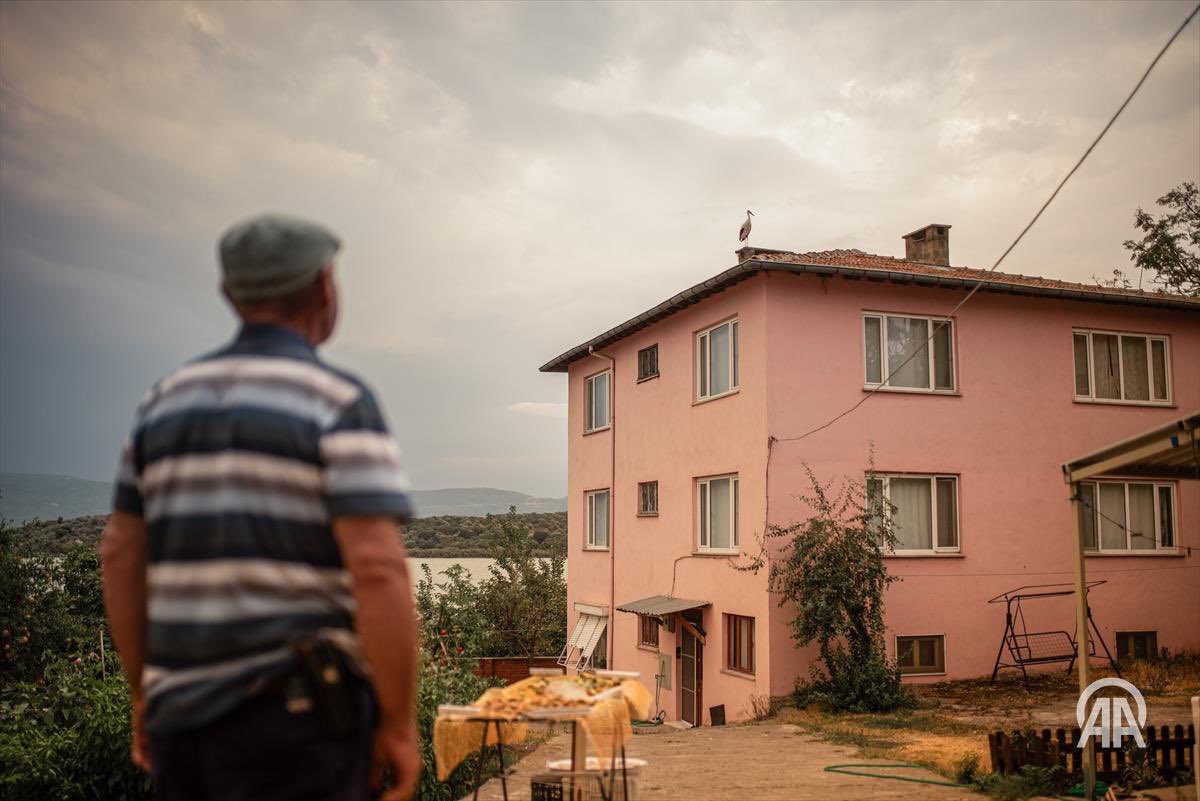 alpertuydes's tweet photo. Sabah 11’den beri tekrar yuvada görür müyüz diye bekledik Yaren ve Nazlı Leyleğimizi. Belki geceyi başka direklerde geçirirler mi diye de ümit ettik. Ancak az önce Adem Amca aradı. ‘Gittiler artık, kısmetse seneye’ dedi. Ayrı ayrı gelseler de giderken birlikte ayrılıyorlar yuvadan. Bu yıl ne güzel aynı kayıkta pozlar vermişlerdi. Ayrıca bu yıl köyün bütün leylekleri aynı gün gitmiş. Köy kahvesinde bu konuşulmuş. Hüzünlü bir eylüle giriş yapmış olduk böylece. 

Şimdi serinleyen sonbahar havasında güneye doğru kanat çırpacaklar günlerce. Geceleri uzaktan şehir ışıklarını izleyerek dallarda çatılarda uyuyup gündüzleri uçmaya devam edecekler. Şehirlerin, nehirlerin, göllerin üstünden süzülüp kim bilir ne zorlukları aşıp önce Afrika’ya ulaşacaklar. Sonra şubatta yine dönecekler. 

Geleneksel sözümüzü de paylaşımın sonuna ekliyorum;
Tüyleri kadar ömürleri olsun bir çırpıda gitsinler, hemen gelsinler💚
#YarenLeylek
