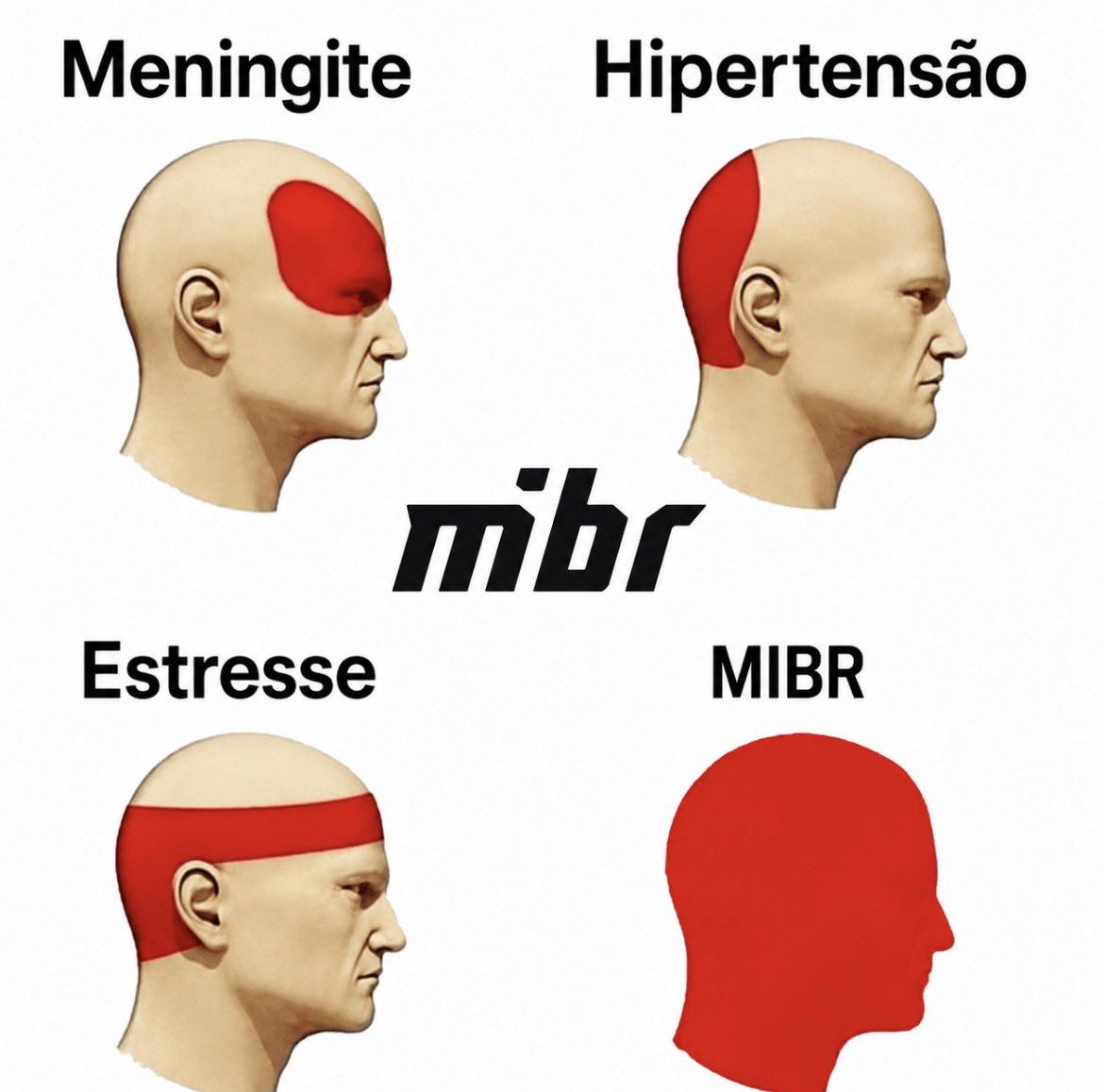 boibrene's tweet photo. Eu não aguento mais torcer pro MIBR https://t.co/XnWhgeI8er