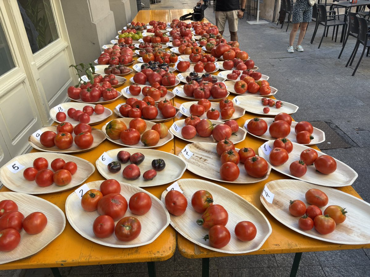 salsadechiles's tweet photo. Hoy toca tomate. Jurado en el 15 Festival del Tomate en  Cangas del Narcea organizado por Bar Blanco. 60 tomates nos esperan. https://t.co/ADN8zRjv1a