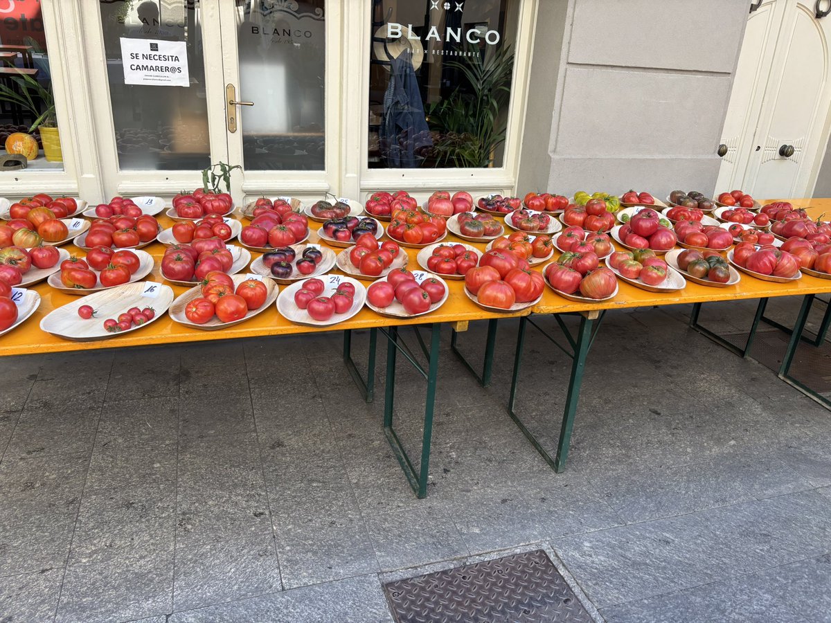 salsadechiles's tweet photo. Hoy toca tomate. Jurado en el 15 Festival del Tomate en  Cangas del Narcea organizado por Bar Blanco. 60 tomates nos esperan. https://t.co/ADN8zRjv1a