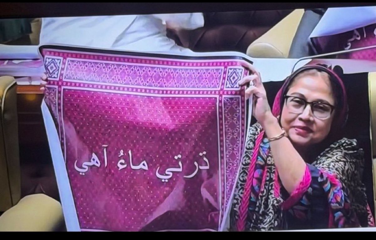 areeba_baluch's tweet photo. Sindh dharti maa ha ❤️🇱🇾
@AseefaBZ https://t.co/ysm0VXFqpu