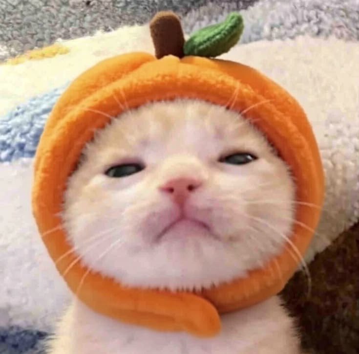 asjaemine's tweet photo. orenji jaeminnie🤏🏼 https://t.co/Gnvbih18HG