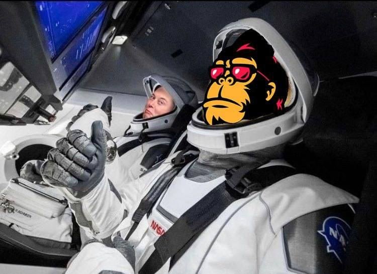 Dante006a's tweet photo. @WhaleEverything Let's Go 🦍🔶🚀🌕

$FEG #SmartDeFi https://t.co/lwSSfa5Fk1