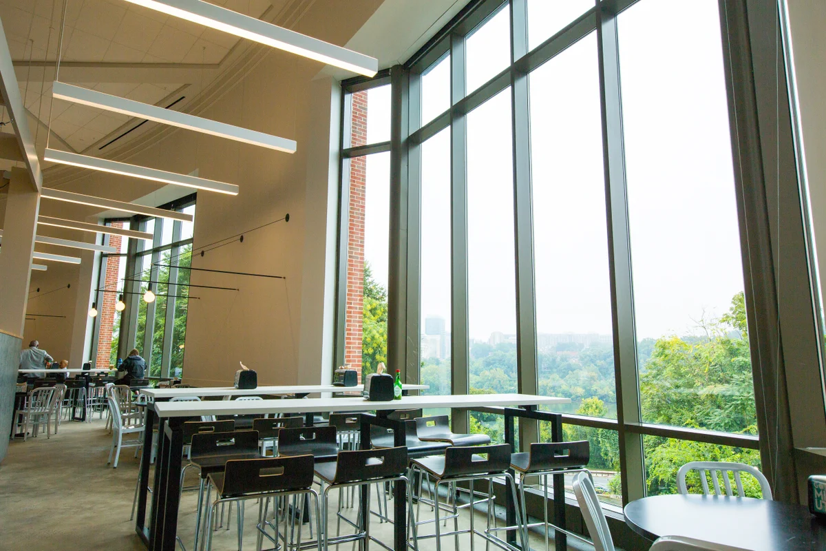 view out the windows of leo's