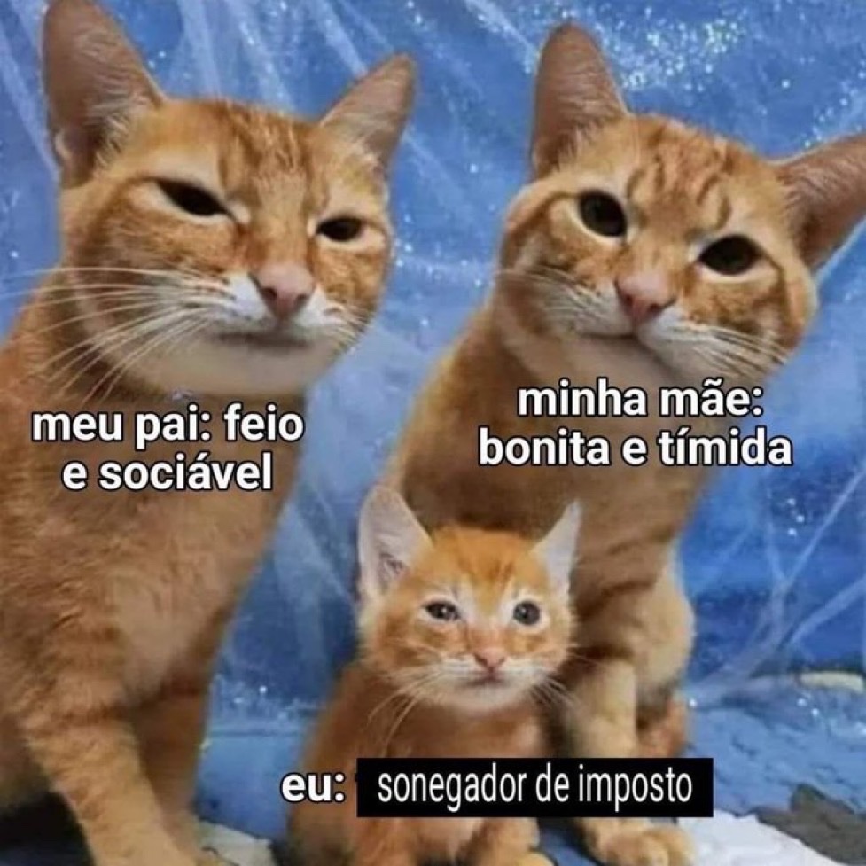 serirvaipinfern's tweet photo. https://t.co/c87WM9Y4oW