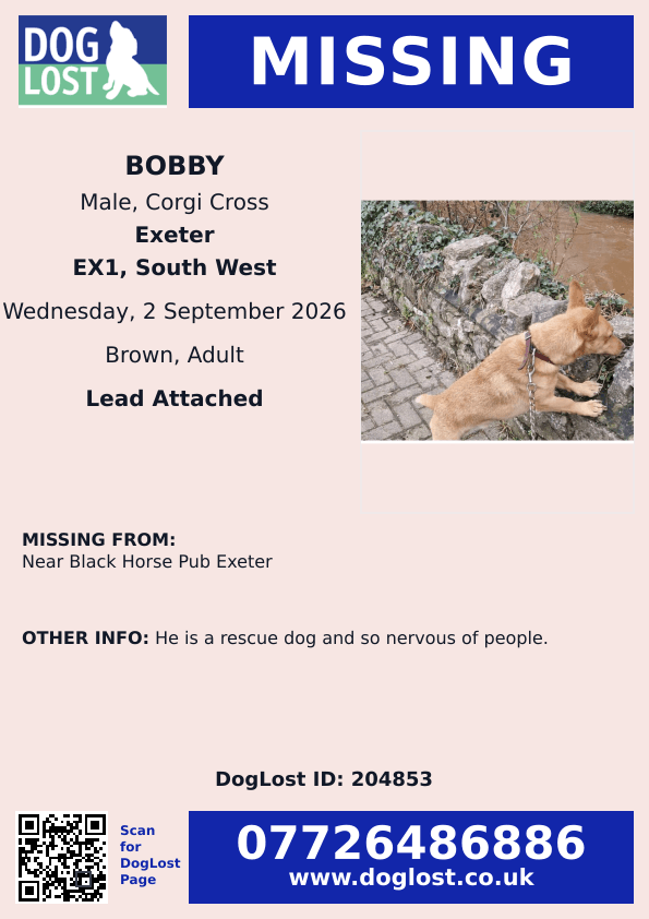 millypod1's tweet photo. 🆘2 SEPT 2026 #Lost Bobby #ScanMe
Corgi Cross Male LEADS ATTACHED
He is a Rescue dog and so nervous of people😢
Near Black Horse Pub #Exeter #Devon #EX1
SEEN: bushes by #A30. Keeps on running if anyone goes near. PLEASE DO NOT CHASE.
https://t.co/TiKVz8ROZ6 https://t.co/zZaMjUB2XO