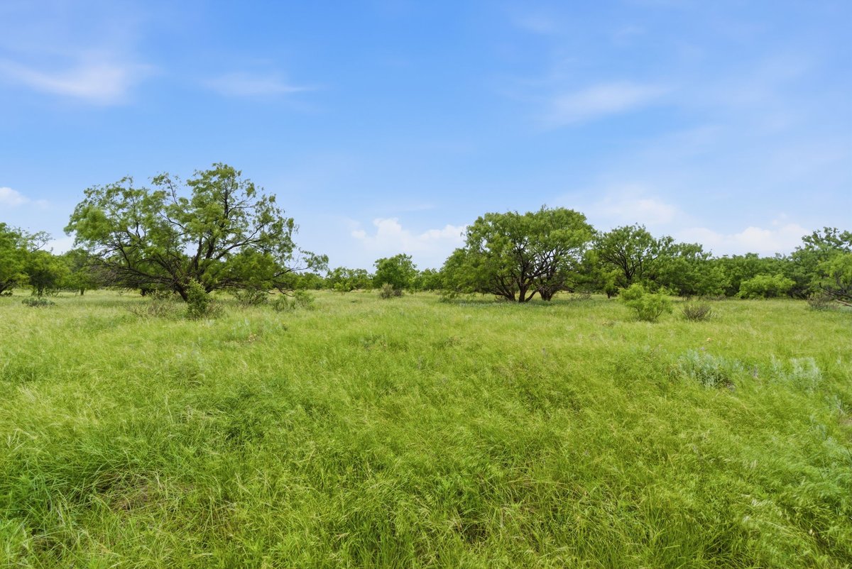 LandCompanyofTX's tweet photo. 🦌🌳256+/-Acres FM 880 Moran, TX 76464🌳🦌
👉https://t.co/9yLcMUK7L1

Presented by: Matt Gilmore, Broker
📱254-243-0557 Cell

#landbroker #texaslandforsale #landsearch #landforsale #texashuntingland #ranchesforsale #texashuntinglandforsale #texasranchesforsale #shackelfordcounty https://t.co/JUkxx5sQx0