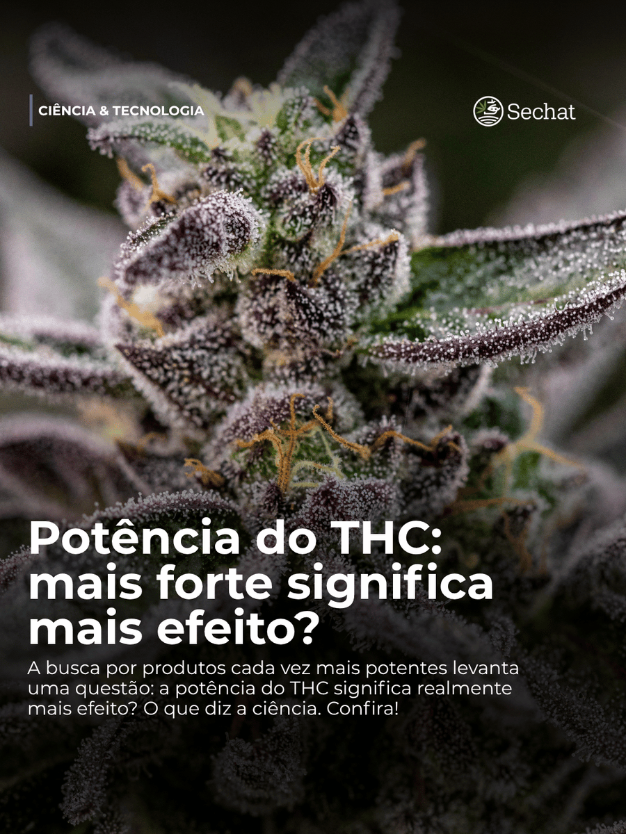 Sechat_Oficial's tweet photo. Entenda a relação entre a concentração de THC, os efeitos no organismo e o limite que o corpo pode absorver, destacando a importância do consumo consciente.
🔗 Leia a matéria completa https://t.co/9iGNCgd9BD
#CannabisMedicinal #THC #Saude #Informacao #Sechat https://t.co/4crNtShZe8