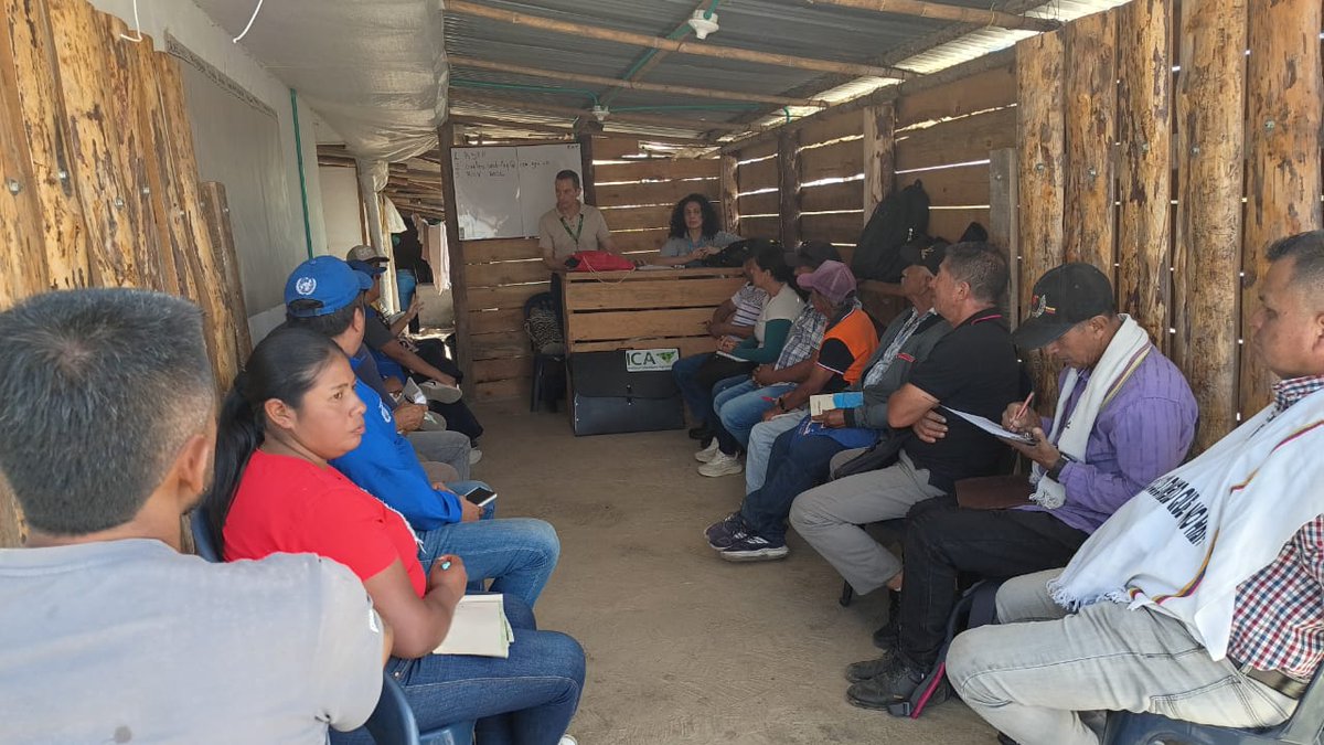 ICACOLOMBIA's tweet photo. 🐄 En Cajibío, Cauca, 21 productores de la Asociación de Productores Lácteos de Cajibío (ASLECA) participaron en una jornada orientada a la formalización sanitaria y tecnológica de sus predios.

Durante la actividad, se actualizaron los registros sanitarios, se verificó el Registro Único de Vacunación (RUV) y se realizó la inscripción de los productores en SINIGAN V6, fortaleciendo la trazabilidad en la movilización de animales.

🥛 El proceso representa un avance para la puesta en marcha del nuevo centro de acopio lechero del municipio y sienta las bases para implementar Buenas Prácticas Ganaderas (BPG). 

Junto con la @FAO_Colombia y ASLECA, continuamos articulando acciones para fortalecer la sanidad, inocuidad, calidad y competitividad del sector pecuario del Cauca.