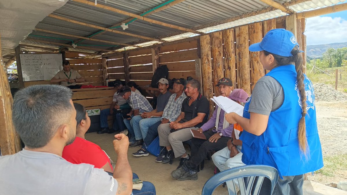 ICACOLOMBIA's tweet photo. 🐄 En Cajibío, Cauca, 21 productores de la Asociación de Productores Lácteos de Cajibío (ASLECA) participaron en una jornada orientada a la formalización sanitaria y tecnológica de sus predios.

Durante la actividad, se actualizaron los registros sanitarios, se verificó el Registro Único de Vacunación (RUV) y se realizó la inscripción de los productores en SINIGAN V6, fortaleciendo la trazabilidad en la movilización de animales.

🥛 El proceso representa un avance para la puesta en marcha del nuevo centro de acopio lechero del municipio y sienta las bases para implementar Buenas Prácticas Ganaderas (BPG). 

Junto con la @FAO_Colombia y ASLECA, continuamos articulando acciones para fortalecer la sanidad, inocuidad, calidad y competitividad del sector pecuario del Cauca.