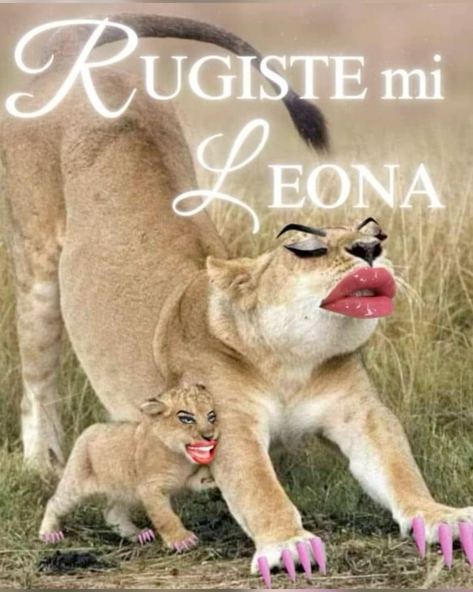 topaeras's tweet photo. @erassdario hai il mio supporto non farti mettere i piedi in testa da nessuno https://t.co/tSco1het4z