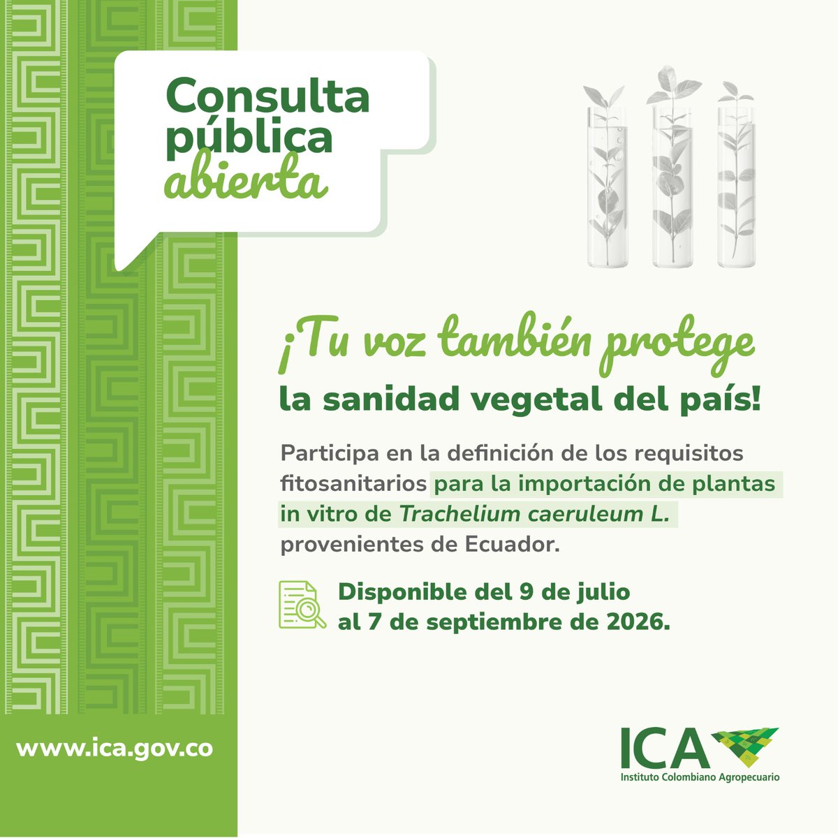 ICACOLOMBIA's tweet photo. ¿Sabes cómo ayudas a proteger el trabajo de miles de familias del campo? 🌿

Participando en esta consulta pública nacional del proyecto que establece los requisitos fitosanitarios para la importación a Colombia de plantas de Ecuador, destinadas a uso comercial, ensayo y/o siembra.

🗣️ Tu opinión fortalece una agricultura más segura, productiva y responsable con la sanidad vegetal del país.

👉 https://t.co/WxPMJhx9sN