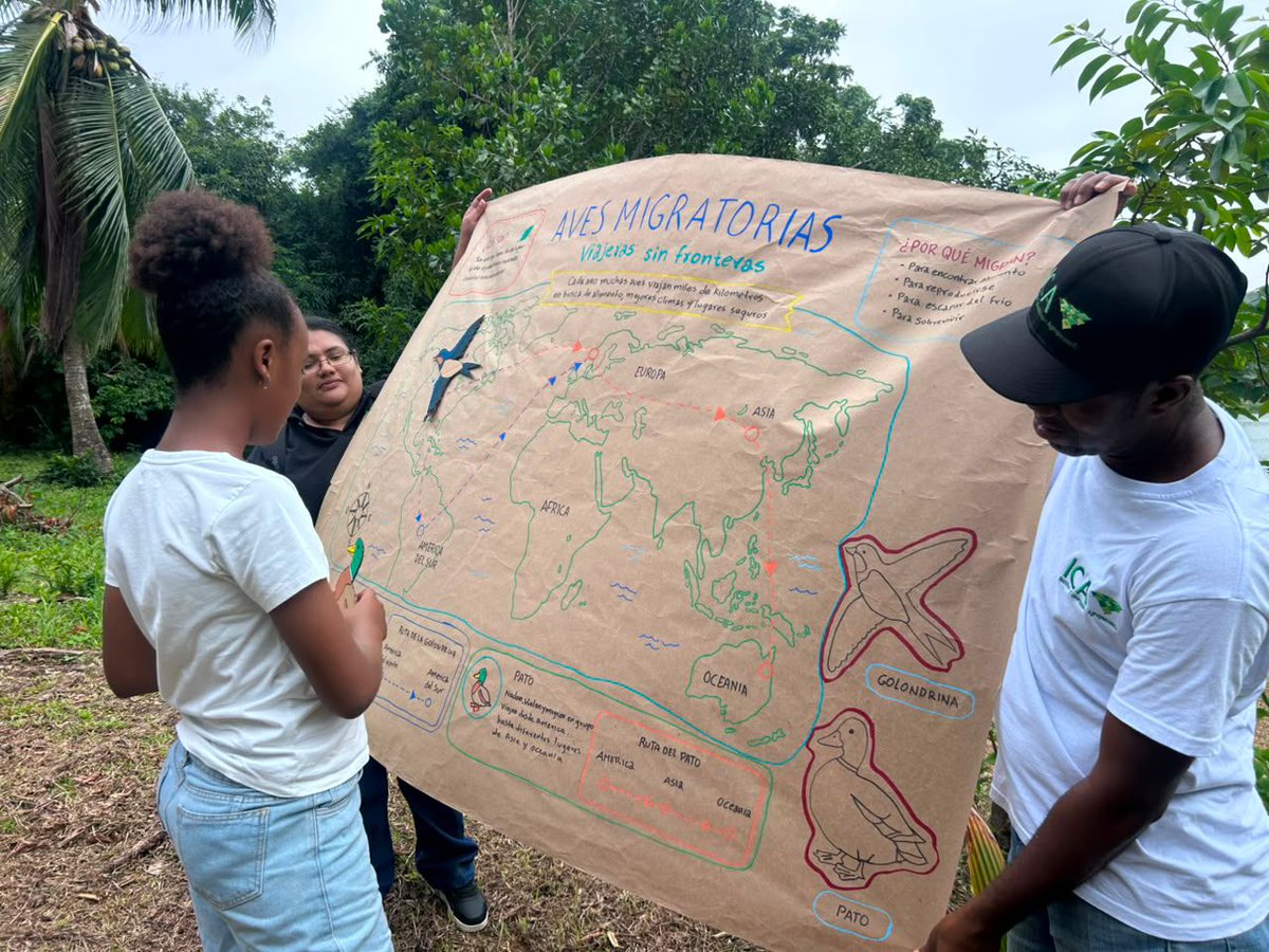 ICACOLOMBIA's tweet photo. En San Andrés, lideramos la “Misión: Alerta en la Laguna”. 🏝️🔝

La Laguna Big Pond se convirtió en un aula al aire libre donde 15 niños y jóvenes aprendieron a reconocer aves silvestres, identificar señales de alerta y conocer cómo se activa la vigilancia frente a enfermedades como la influenza aviar. 🐔

Aquí te contamos el desarrollo de la jornada: 🔗 https://t.co/HWl1i2BUWs

#ElDato 👀: durante la misión, los niños identificaron posibles signos clínicos, conocieron y aplicaron medidas de bioseguridad mediante el uso de overoles, guantes y tapabocas, y realizaron una toma simulada de muestras mediante hisopados traqueales y cloacales, siguiendo de manera didáctica el procedimiento empleado por el ICA ante una notificación sanitaria. 📝💪🏽