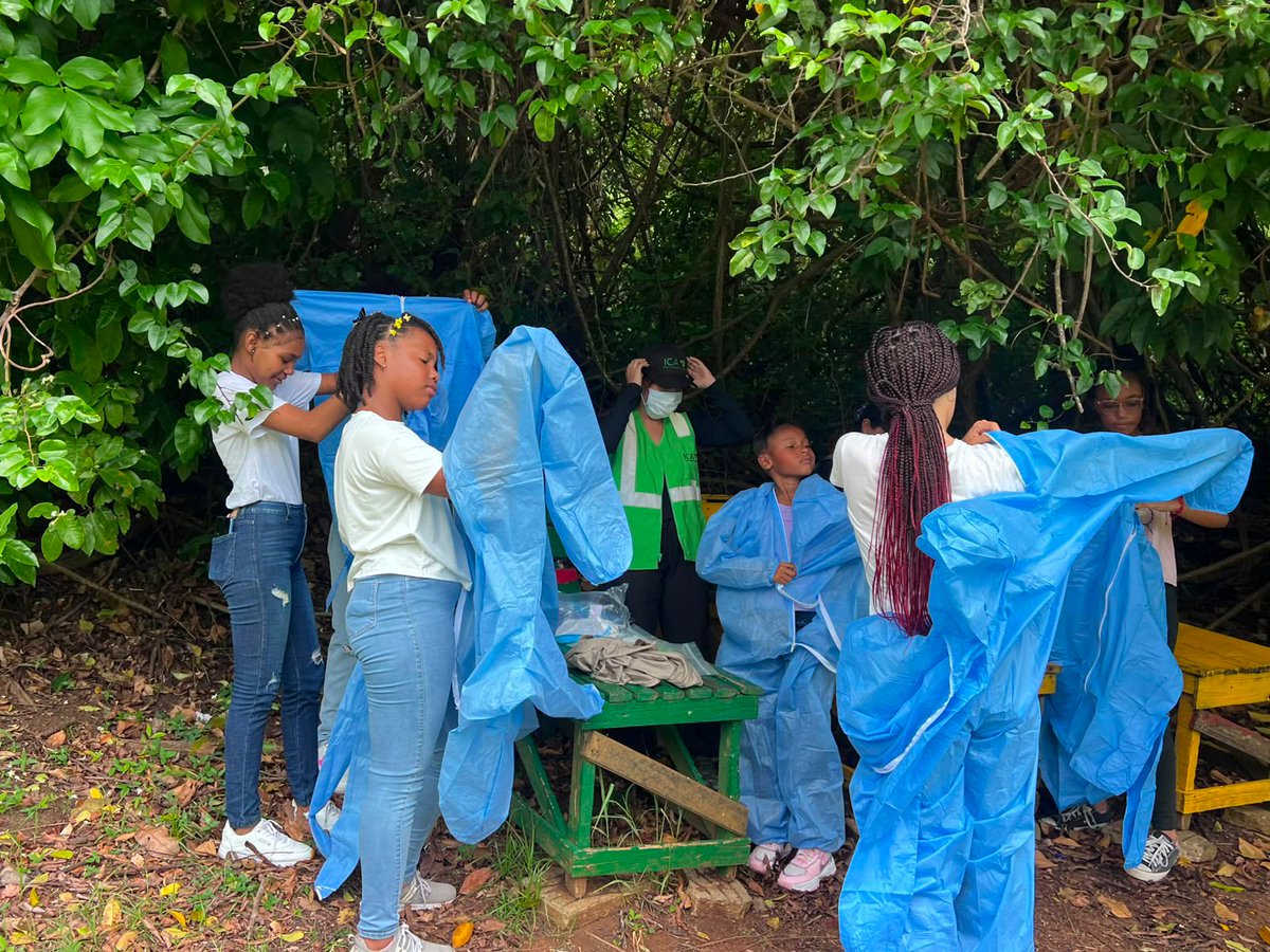 ICACOLOMBIA's tweet photo. En San Andrés, lideramos la “Misión: Alerta en la Laguna”. 🏝️🔝

La Laguna Big Pond se convirtió en un aula al aire libre donde 15 niños y jóvenes aprendieron a reconocer aves silvestres, identificar señales de alerta y conocer cómo se activa la vigilancia frente a enfermedades como la influenza aviar. 🐔

Aquí te contamos el desarrollo de la jornada: 🔗 https://t.co/HWl1i2BUWs

#ElDato 👀: durante la misión, los niños identificaron posibles signos clínicos, conocieron y aplicaron medidas de bioseguridad mediante el uso de overoles, guantes y tapabocas, y realizaron una toma simulada de muestras mediante hisopados traqueales y cloacales, siguiendo de manera didáctica el procedimiento empleado por el ICA ante una notificación sanitaria. 📝💪🏽