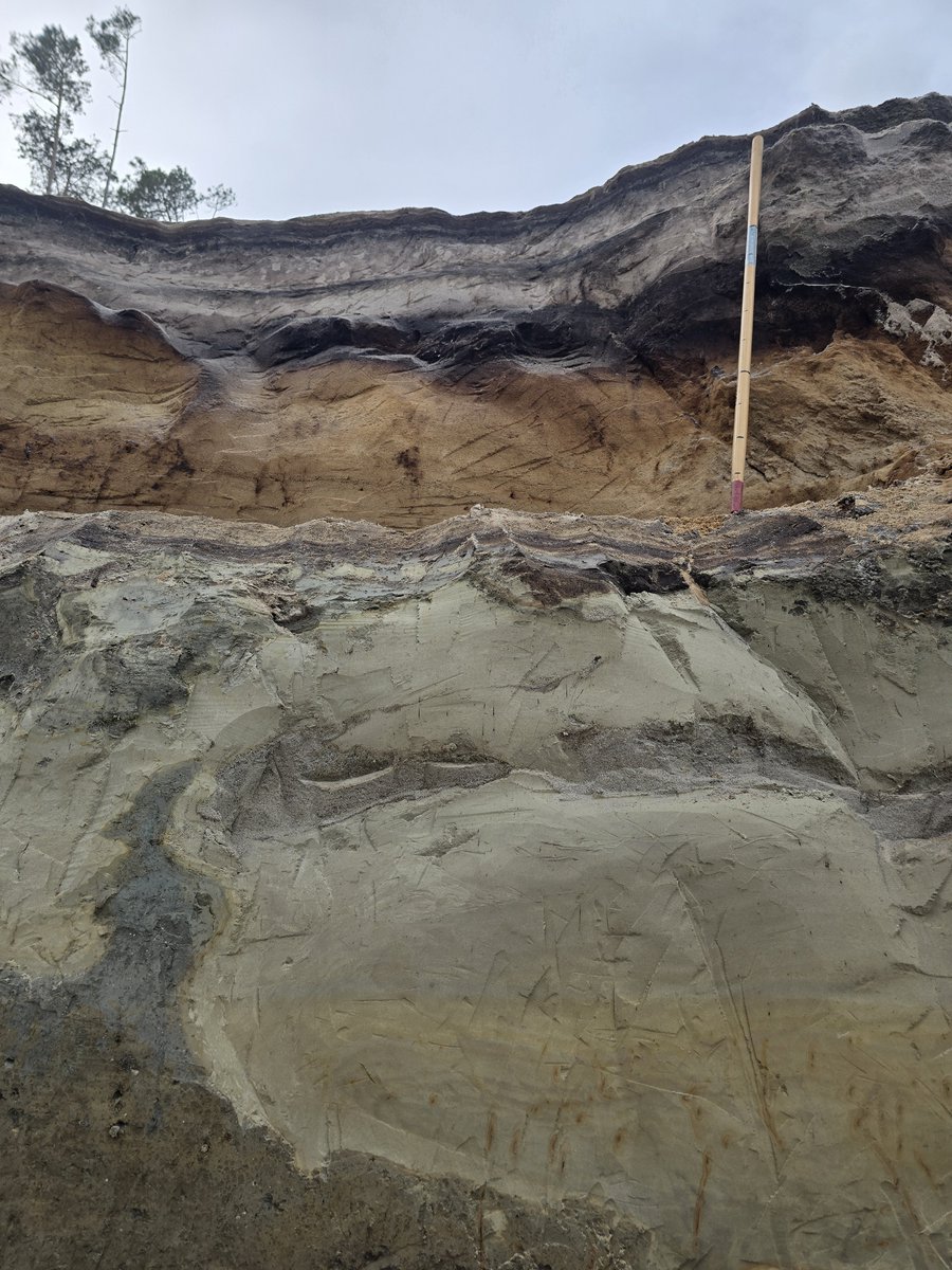 Moskalewicz_D's tweet photo. #Geology of #Orzechowo cliff seems to be more complicated than previously thought. Does it look like simple basal #till followed by thick sequence of #paleosoils developed in #aeolian #sands? We don't think so, and will be challenging old concepts 🪏📐📝🪒🔬 https://t.co/SUU6UlniG7