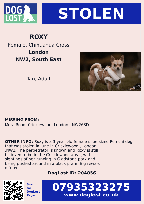 millypod1's tweet photo. π17 JUNE 2026 #STOLEN Roxy #ScanMe
Chihuahua Cross Female
Mora Road #Cricklewood #London #GreaterLondon #NW2 SEE OTHER INFO ON POSTER.
Sightings of her running in Gladstone Park and being pushed around in a black pram.
https://t.co/od2S9QQsns https://t.co/iaKRmcEGrT