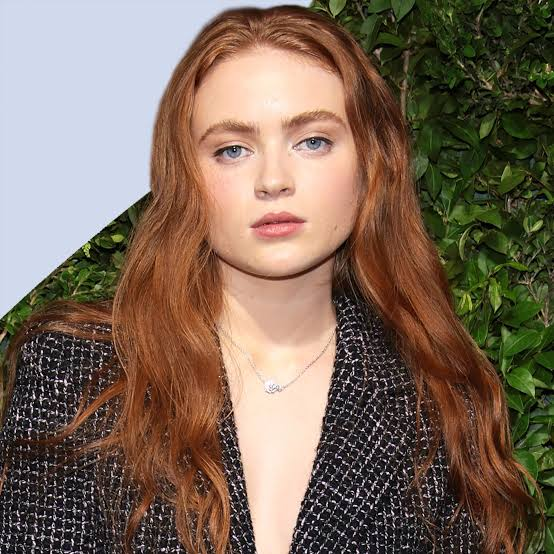 valuetainment's tweet photo. NEW: Sadie Sink’s Jean Grey is set to be the main character of the new X-Men movie. https://t.co/YPvjGh0XYE