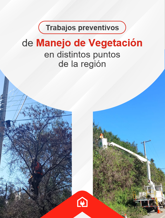 Chilquinta600's tweet photo. #ChilquintaInforma: Nuestros equipos técnicos realizan labores de manejo de vegetación en distintas comunas: #LlayLlay, #Quillota y #Quilpué; efectuando podas y despeje técnico en sectores próximos a la infraestructura eléctrica. https://t.co/O2A4SfRHkw