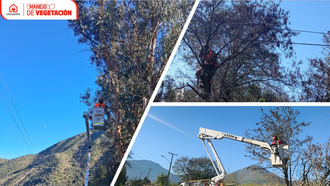 Chilquinta600's tweet photo. #ChilquintaInforma: Nuestros equipos técnicos realizan labores de manejo de vegetación en distintas comunas: #LlayLlay, #Quillota y #Quilpué; efectuando podas y despeje técnico en sectores próximos a la infraestructura eléctrica. https://t.co/O2A4SfRHkw