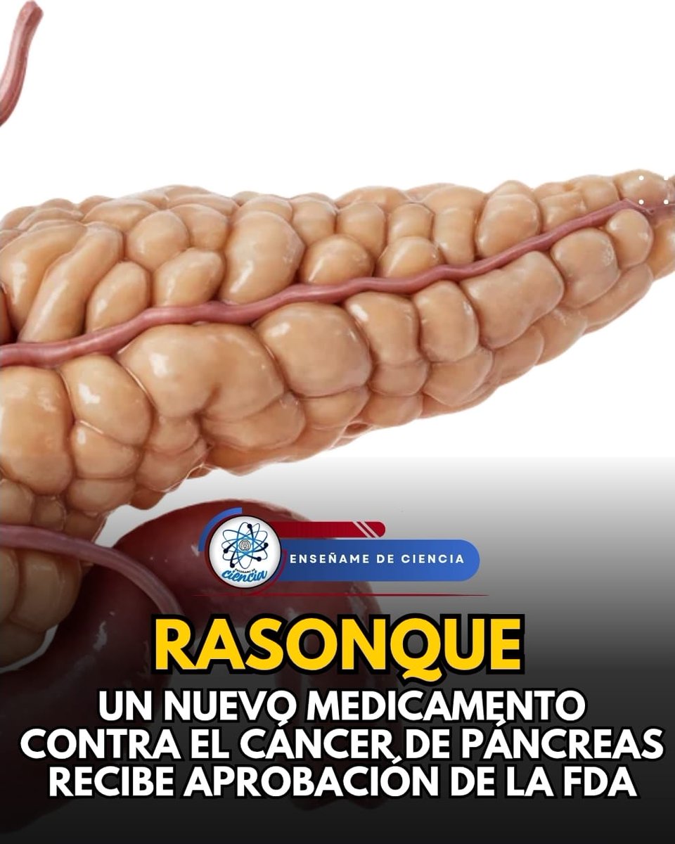 EnsedeCiencia's tweet photo. La Administración de Alimentos y Medicamentos de Estados Unidos (FDA) ha aprobado el fármaco daraxonrasib de Revolution Medicines contra el cáncer de páncreas. En ensayos, este fármaco demostró que es capaz de duplicar la tasa de supervivencia en pacientes con esta enfermedad. https://t.co/ADjgzxhpGT