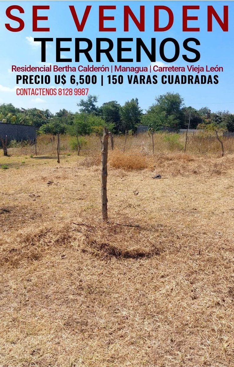 EventosPlan's tweet photo. https://t.co/VrDAq9qWou