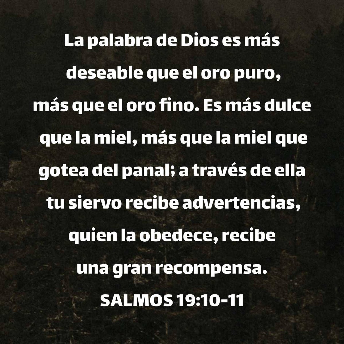 Lperezgodoy's tweet photo. La palabra de Dios es más deseable que el oro puro, más que el oro fino. Es más dulce que la miel, más que la miel que gotea del panal; a través de ella tu siervo recibe advertencias,quien la obedece, recibe una gran recompensa.
#Jesús_nuestro_rey
https://t.co/yLRmhjz8ca https://t.co/7CowB8hJIX