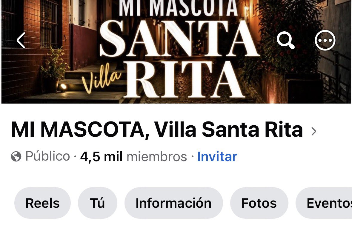 FrancoMTascon's tweet photo. ¿Perdiste a tu mascota en Villa Santa Rita o en barrios cercanos?
No te rindas. Compartí su foto, nombre y zona donde fue visto. Entre vecinos podemos ayudar a encontrarlo y lograr que vuelva a casa.
#VillaSantaRita #MascotasPerdidas #PerrosPerdidos #GatosPerdidos #Ayudemos https://t.co/4qedueeRoQ