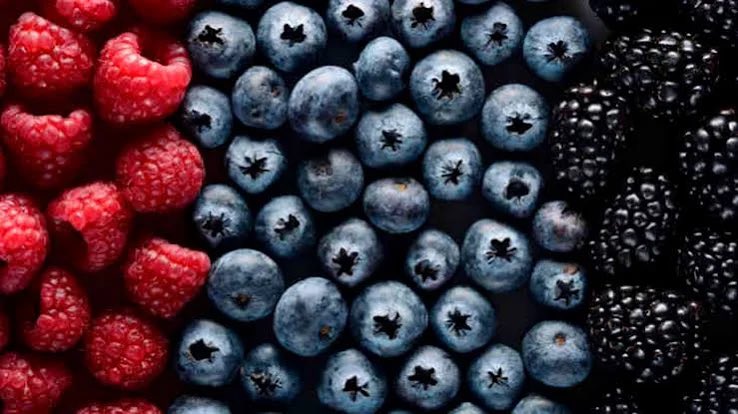 krassenstein's tweet photo. Another Trump recall. Thanks for defunding the FDA, you moron. 

GreenWise Organic blueberries and mixed berries (blackberries, blueberries, strawberries, raspberries) from Publix in 8 SE states (AL, FL, GA, KY, NC, SC, TN, VA) were recalled for possible E. coli https://t.co/GsYr65E7R6