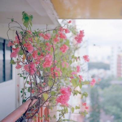 JacqueMella's tweet photo. I m learning to stop explaining my boundaries 🎊 🧳 🌱 🍁 🍁 🍀 🍂 🍁 💦 https://t.co/cFqsHVx3aW