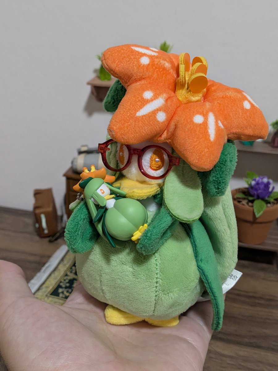kaedepokesc's tweet photo. 手乗りドレディアちゃん手乗りグラスちゃん🏵️🏵️🤲 https://t.co/Ep2mwIzc2U