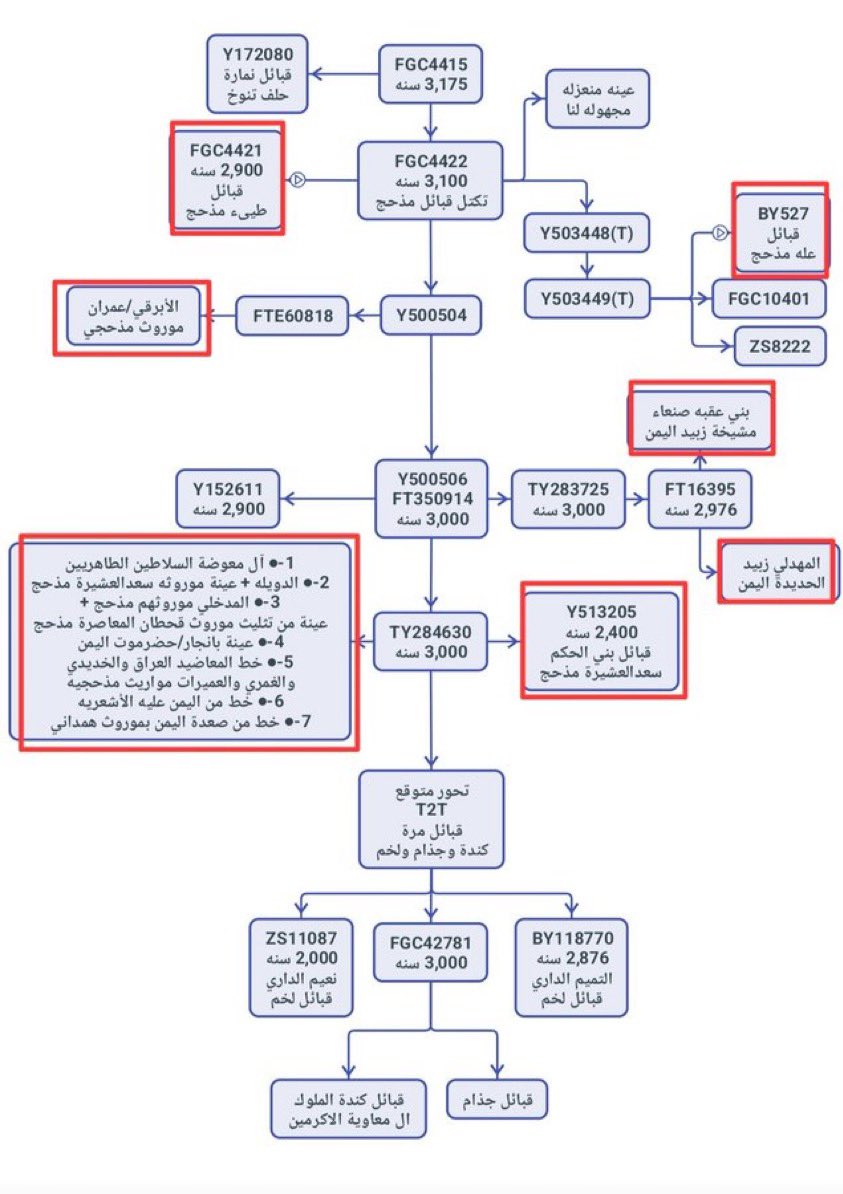 Nassabat1's tweet photo. @mtk505 @3John_Smith @AbdulAzizAtalah وينك في مشجرتهم 😁 https://t.co/aSdOp0mIAb