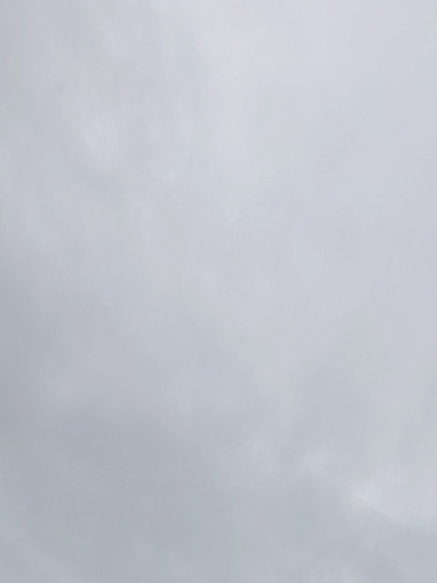 torokeruseiyou's tweet photo. ミルさん、皆さん、おはようございます。
今見上げた空は曇り空でした。
昨日よりは明るめの曇り空です。
疲れがなかなか取れず、ものすごく眠いです。
デイケアまで運転しなくてはいけないので、十分に気をつけたいと思います。
今日も１日、生き抜きたいと思います。
🤝🍀🫂🍀🤝 https://t.co/olxdj0Qb9y