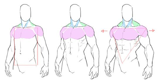 LimboSketch's tweet photo. 3 different body types https://t.co/fdgoTCBvJW