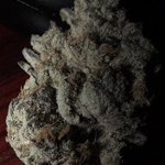 Photo by Grow Sciences (@growsciences)